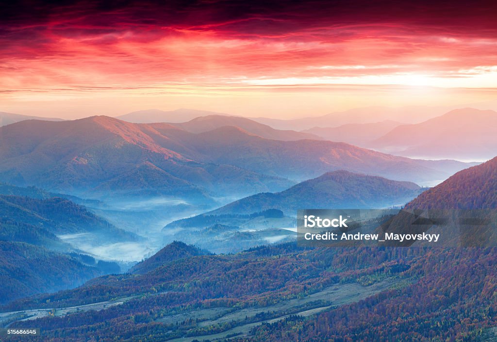 Panorama of the autumn mountains. Panorama of the autumn mountains. Foggy morning. Atmospheric Mood Stock Photo