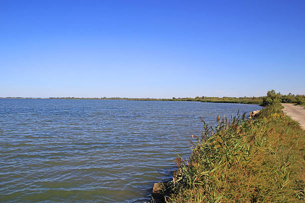 istock Pond of Vaccares 515689597