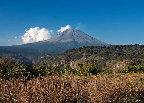 A field of ripe Chia seeds, in front of active Popocatepetl volcano (5.452 meters) with a bit of smoke. "Popo" is Mexico's second highest mountain. Popocatepetl is a mere 70 km (44 mi) to the southeast of Mexico City and is often visible from the capital, depending on atmospheric conditions. Mexico.