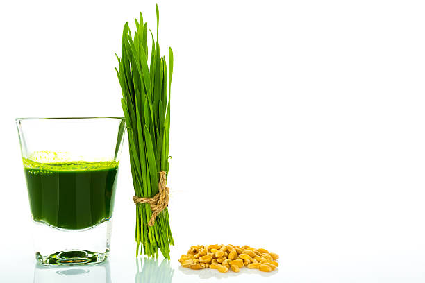 istock Shot glass of wheat grass 515690493