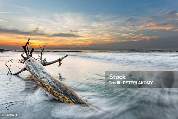 Bough In Ocean Stock Photo - Download Image Now - Beach, Blue, Coastline