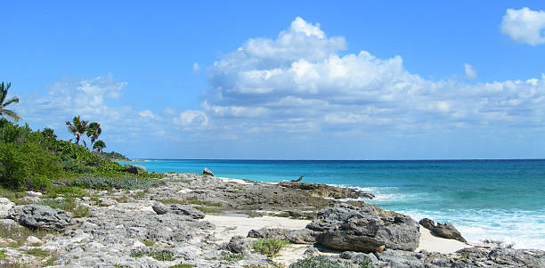 istock Caribbean beach in Cancun, Mexico 515690841