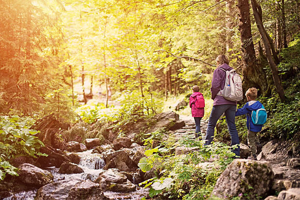 istock Mother and kids hiking in sunny forest 515701009