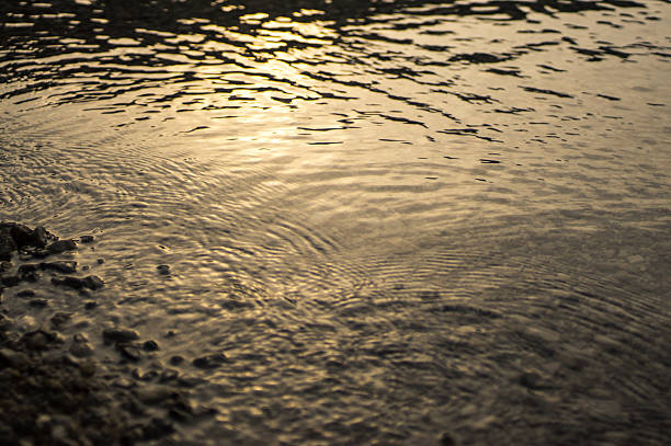 Natur-golden Wasser-Hintergrund mit Steinchen – Foto