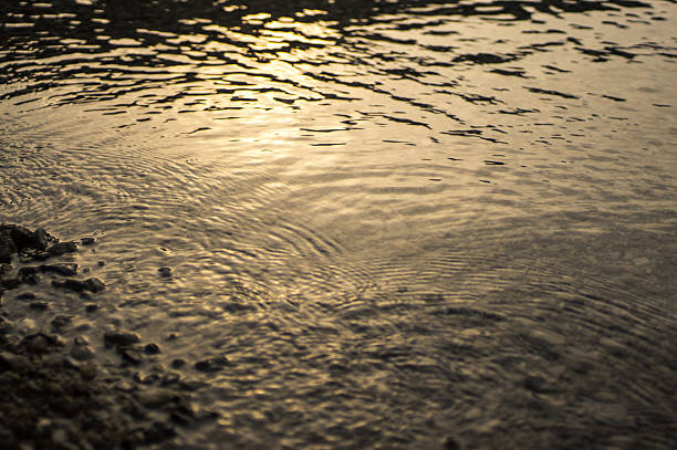 Natura-golden wody z żwir-TŁA – zdjęcie