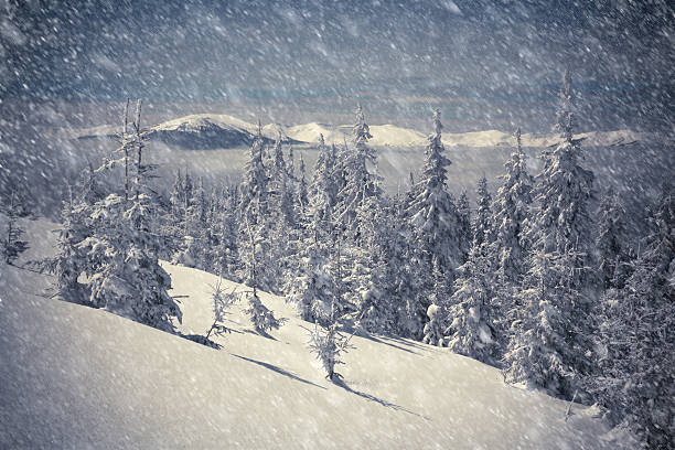 istock Beautiful winter landscape in the mountains. 515701657