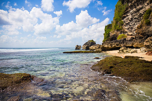istock Beach and cliff on the ocean. Surf paradise 515701673