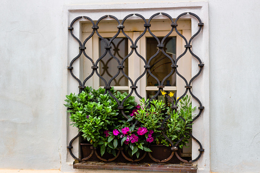 Buildings  and houses in the historical center of Prague: window with pot of flowers, yellow and fuchsia