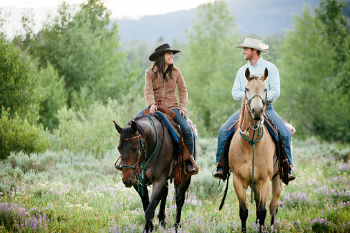 A young couple ride their horses through a heather valley, Parade Rest Ranch, Montana, USA. 