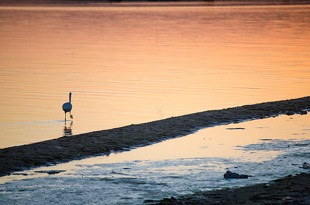 istock view of the sunset 515705450