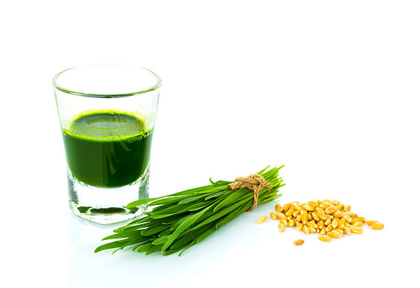 istock Shot glass of wheat grass 515705645