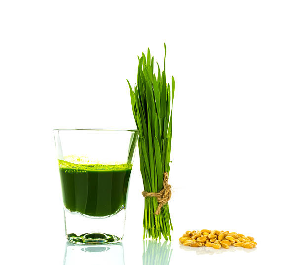 istock Shot glass of wheat grass 515705669