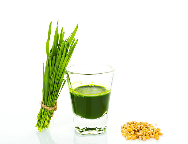 istock Shot glass of wheat grass 515705715
