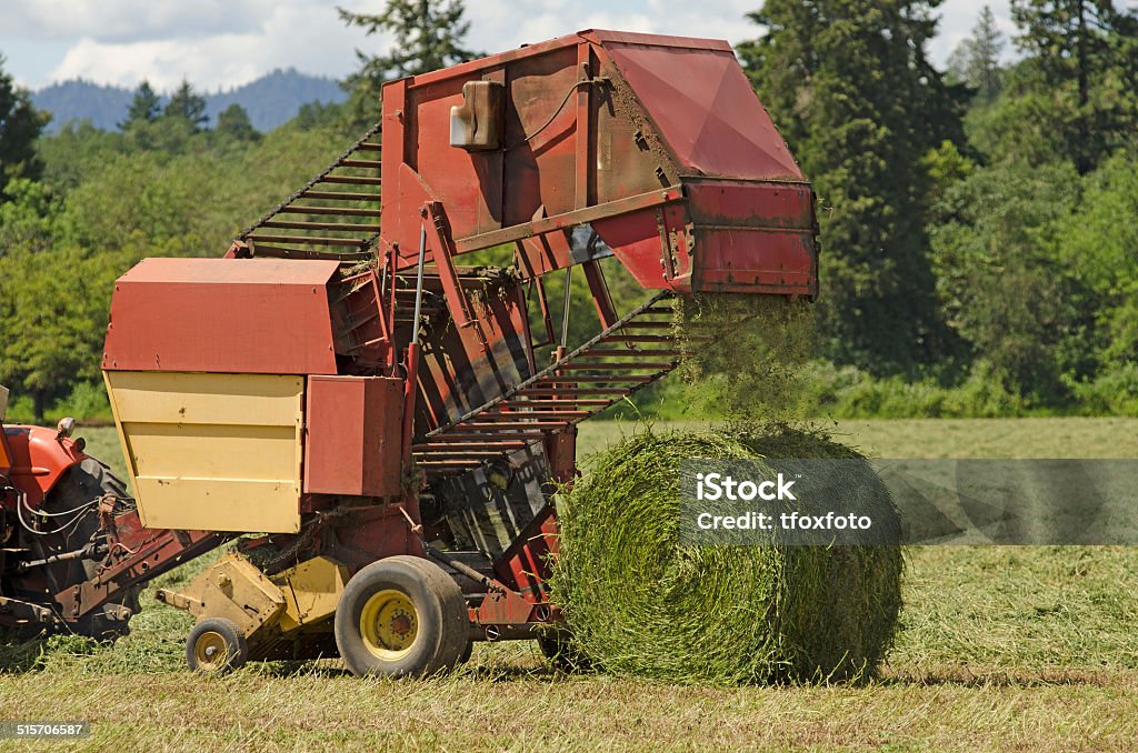 Baler redondo - Foto de stock de Alfalfa libre de derechos