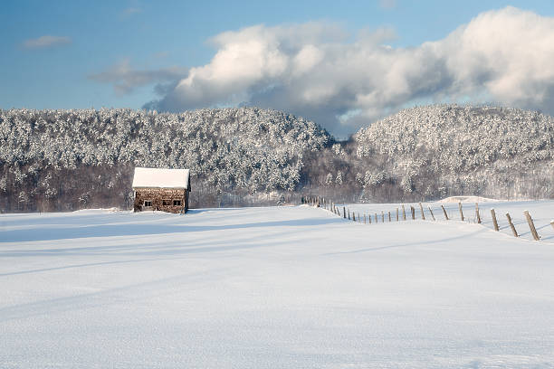 istock Canadian Winter day blue skies frost tree 515706869