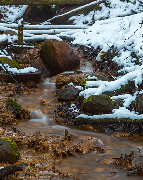 istock Close up of small stream in winter forest 515708304