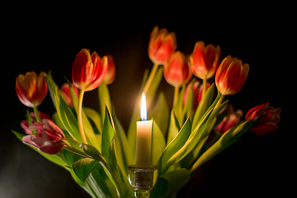 Candle and Tulips stock photo