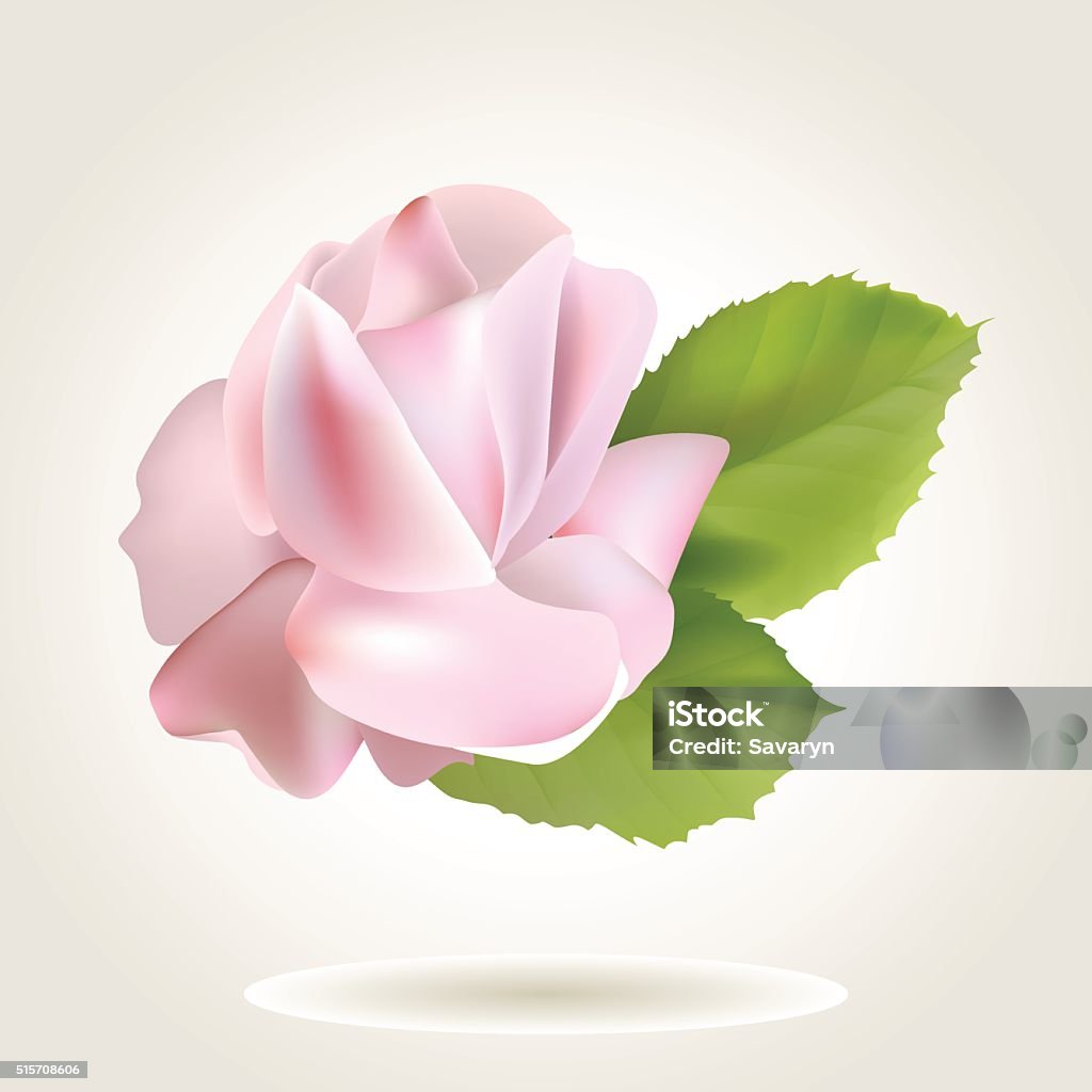 Rose Spring Design Spring Rose Stock Illustration - Download Image Now - Abstract, Angle ...