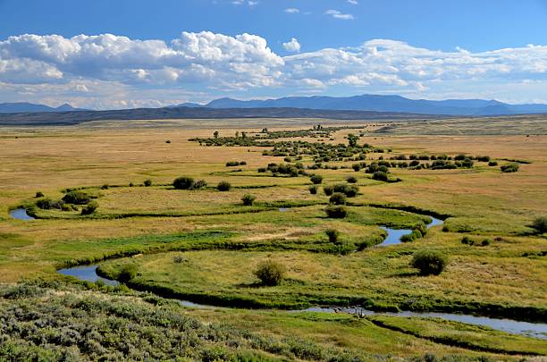 istock Illinois River in Colorado 515708911