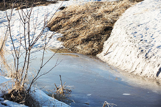 istock Rural Drainage Ditch in Early Spring 515709258