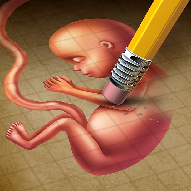 Abortion Abortion or miscarriage medical concept as a fetus in a pregnant human uterus being erased by a pencil as a reproductive health loss metaphor for termination of a pregnancy. eraser photos stock pictures, royalty-free photos & images
