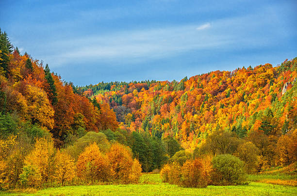 istock Autumn in Franconia 515718889