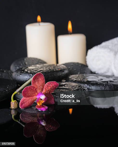 Beautiful Spa Concept Of Zen Stones With Drops Purple Orchid Stock Photo - Download Image Now