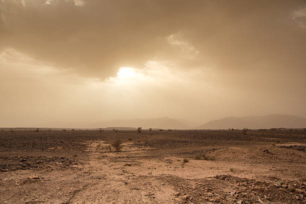 istock Threatening sky and wind in the desert of Sahara, Morocco 515720965