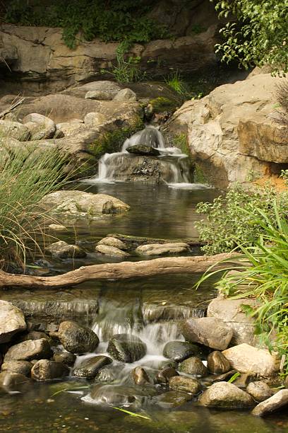 istock Waterfalls in rocky stream spanned by log 515721419