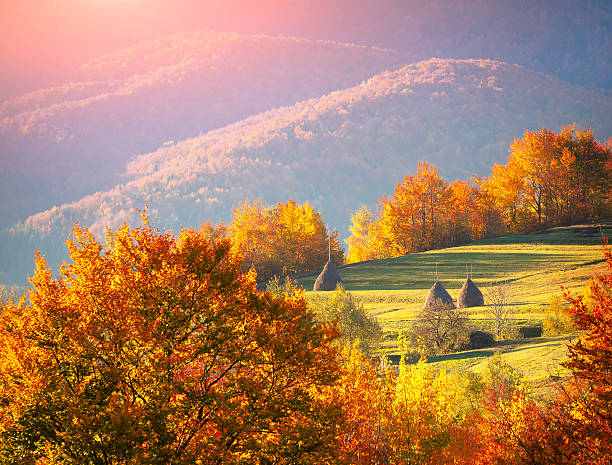 istock Colorful autumn landscape in the mountains 515721641