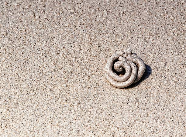 istock close up view beach sand background - Sand background 515723495