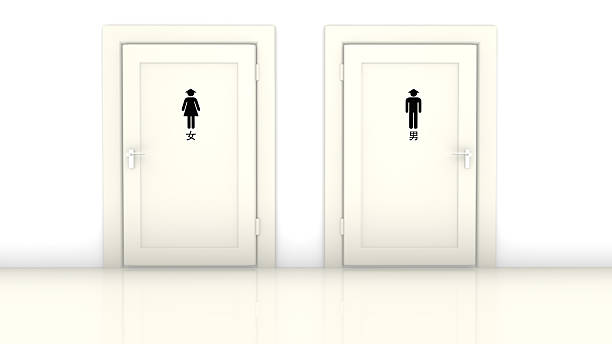 istock Chinese toilet doors 515737586