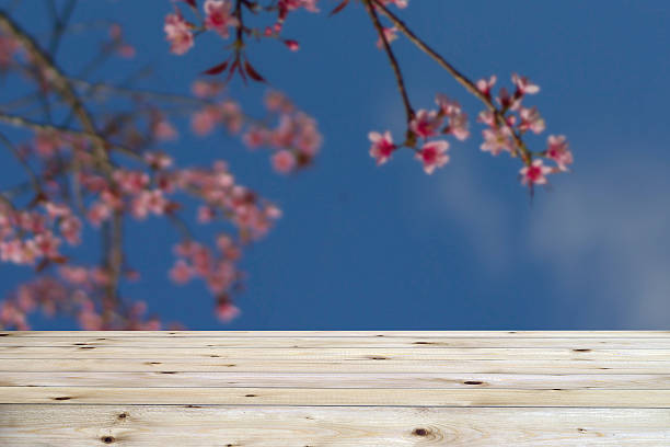 istock Wood table top on blur flower background 515737672