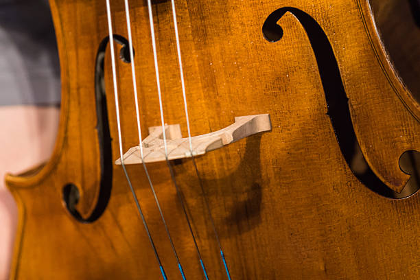 istock Close view of a violin strings and bridge 515737776