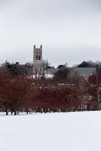Tall bell tower rising behind trees on a snowy field on a cold winter day