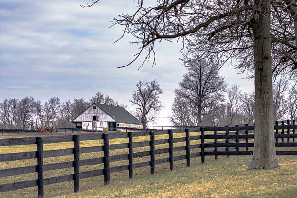 istock Horse farm in Kentucky 515739052