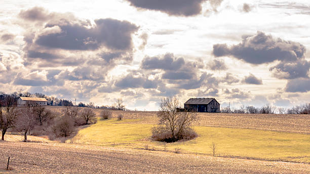 istock Rural landscape in February 515739298