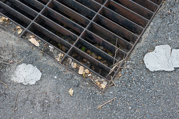 istock Double yellow lines covered with autumn leaves. 515741892