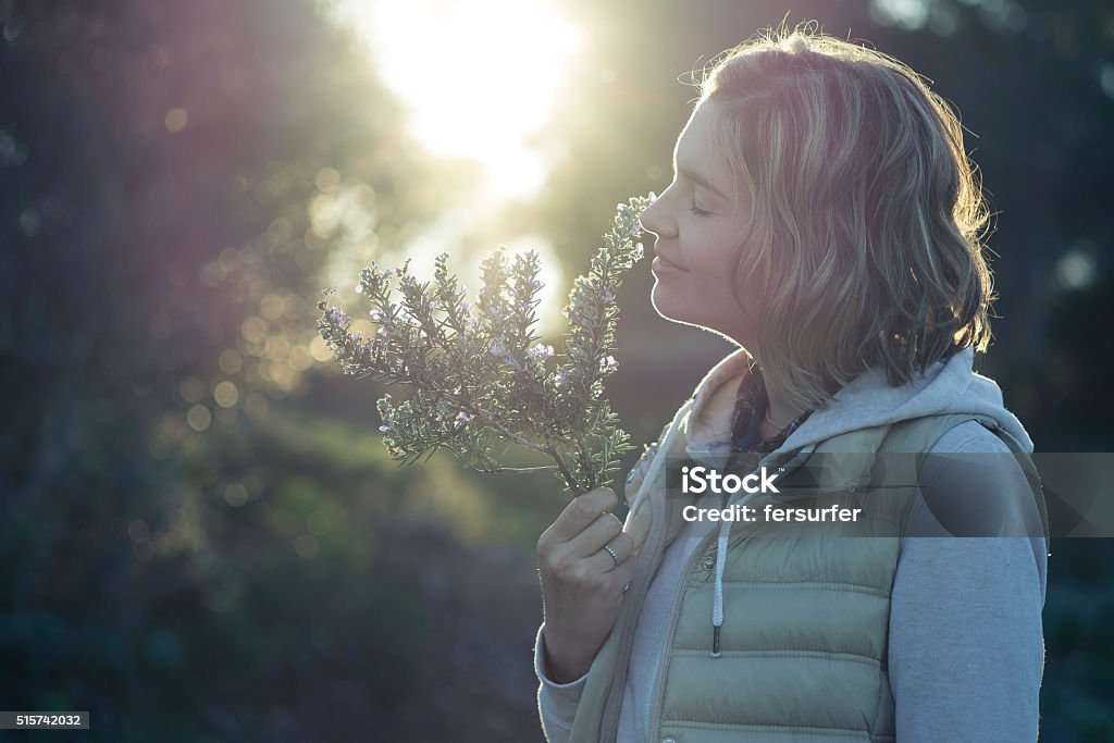 Mädchen riechen den Duft von Rosmarin-Zweig bei Sonnenuntergang - Lizenzfrei Atemübung Stock-Foto