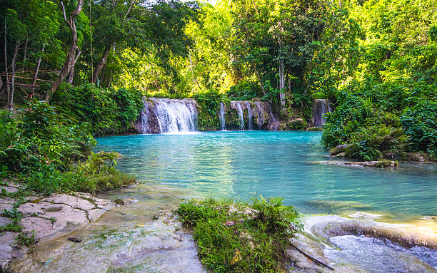 Beautiful Waterfalls in Siquijor Island First level of waterfalls in Siquijor Island, Philippines. siquijor island stock pictures, royalty-free photos & images