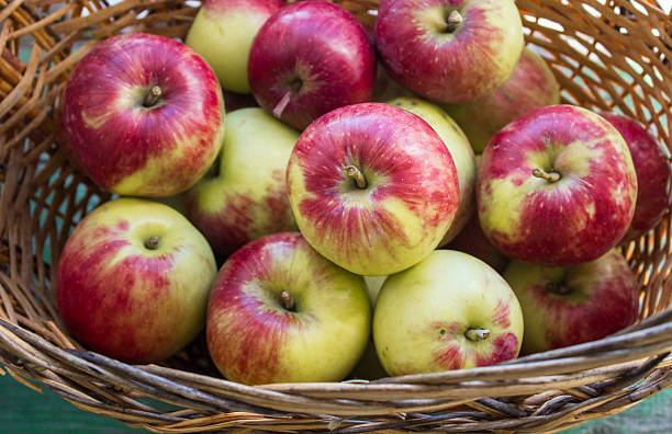 istock Ripe apples in the basket 515743153