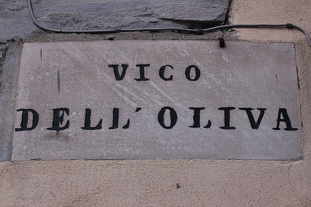 istock vico of the olive 515743255