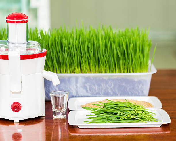 istock Shot glass of wheat grass 515745969