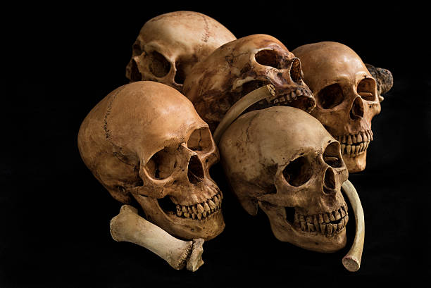 istock Still life Human skull and bones, genocides concept 515746454