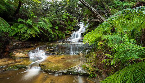 Lauera cascade in Blue mountains. Lauera cascade in Blue mountains. blue mountains australia photos stock pictures, royalty-free photos & images