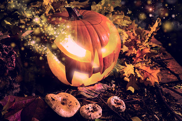 istock Halloween pumpkin outdoors 515746705