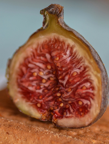 A fresh fig on a cookie