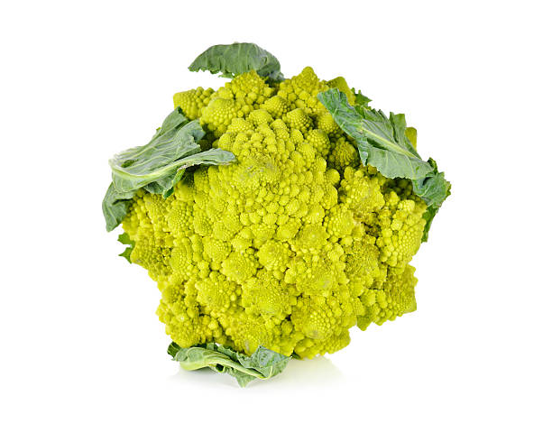 istock Romanesco broccoli or Roman Cauliflower with leaf on white backg 515747470