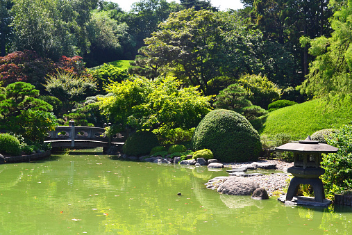 Beautiful Japanese gardenBeautiful Japanese gardenBeautiful Japanese garden