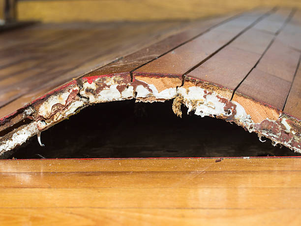 Moist, swollen and receding parquet after water leakage
